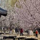 北京旅游 缩略图 13