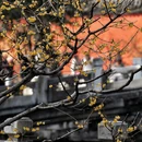 北京旅游 缩略图 9