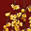 北京旅游 缩略图 2