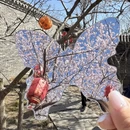 北京旅游 缩略图 14