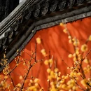 北京旅游 缩略图 6