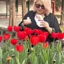 北京旅游 缩略图 3