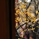 北京旅游 缩略图 13