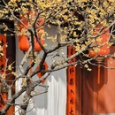 北京旅游 缩略图 8
