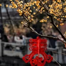 北京旅游 缩略图 10