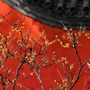 北京旅游 缩略图 7