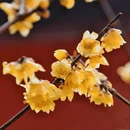 北京旅游 缩略图 11