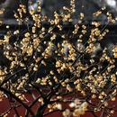 北京旅游 缩略图 5