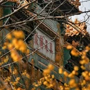 北京旅游 缩略图 15