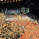 北京旅游 缩略图 14