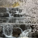 北京旅游 缩略图 3