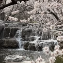 北京旅游 缩略图 2