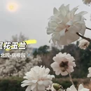 北京旅游 缩略图 2