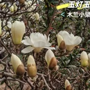 北京旅游 缩略图 4