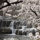 北京旅游 缩略图 1