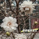北京旅游 缩略图 6