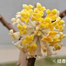 北京旅游 缩略图 11