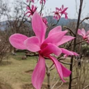 北京旅游 缩略图 5