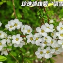 北京旅游 缩略图 12