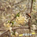 北京旅游 缩略图 18