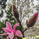 北京旅游 缩略图 8