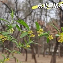 北京旅游 缩略图 16