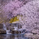 北京旅游 缩略图 5