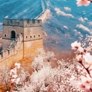 北京旅游 缩略图 5