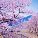 北京旅游 缩略图 3