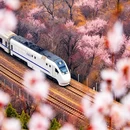 北京旅游 缩略图 2
