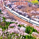 北京旅游 缩略图 1