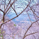 北京旅游 缩略图 7