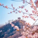 北京旅游 缩略图 12