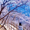 北京旅游 缩略图 11