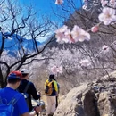 北京旅游 缩略图 14