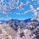 北京旅游 缩略图 9
