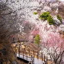 北京旅游 缩略图 13