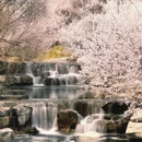 北京旅游 缩略图 1