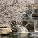 北京旅游 缩略图 2
