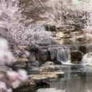 北京旅游 缩略图 6