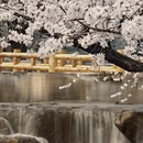 北京旅游 缩略图 7