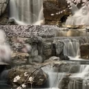 北京旅游 缩略图 4