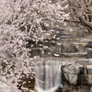 北京旅游 缩略图 5