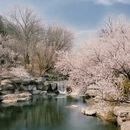 北京旅游 缩略图 8