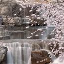 北京旅游 缩略图 13