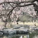 北京旅游 缩略图 15