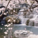 北京旅游 缩略图 14