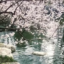 北京旅游 缩略图 17