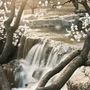 北京旅游 缩略图 16