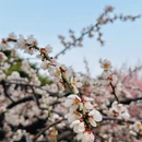 北京旅游 缩略图 8